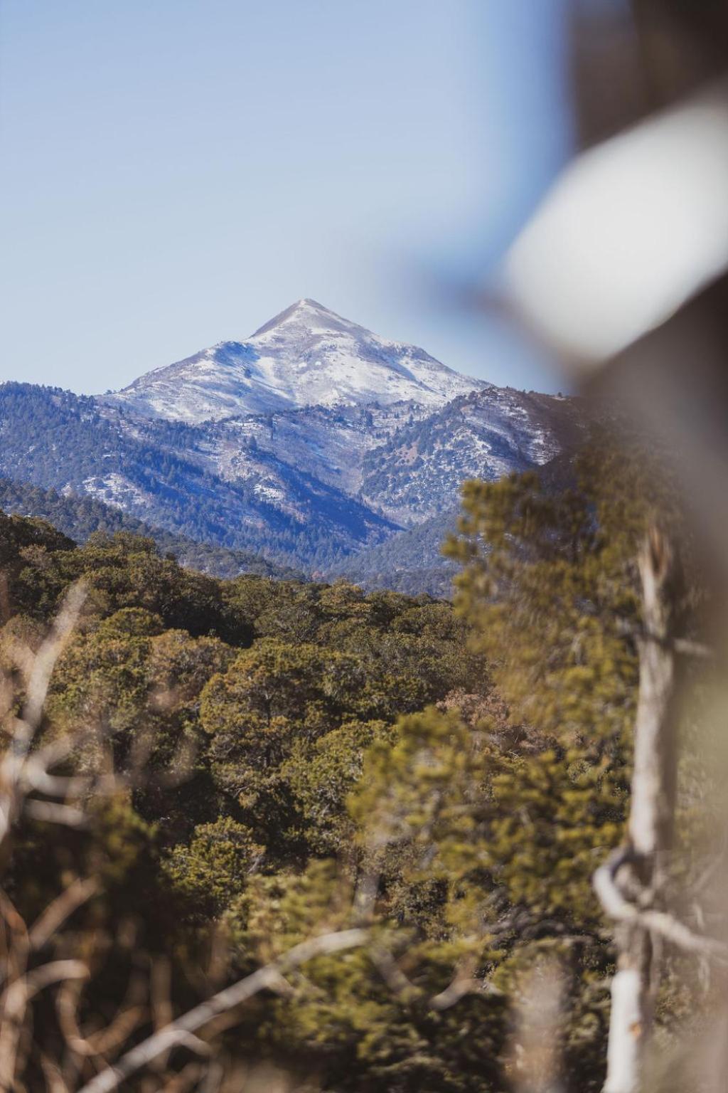 Zia Geo Dome At El Mistico Ranch, Glamping
